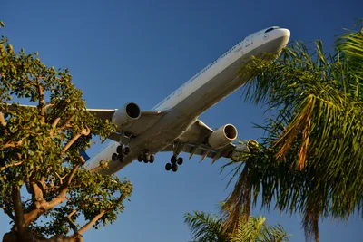 DSC_5751 (Large).JPG